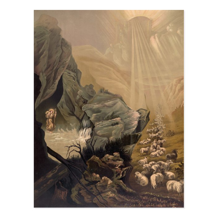 Vintage The Lost Sheep Bible Illustration 1878 Postcard Zazzle Com