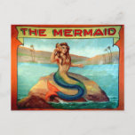 Vintage The Mermaid Circus Show Banner Postcard at Zazzle