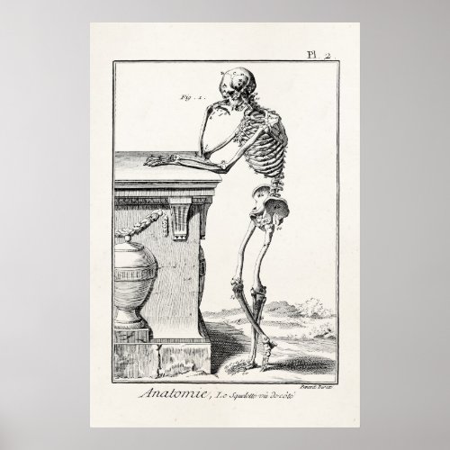 Vintage Thinking Human Skeleton Medical Anatomy Poster