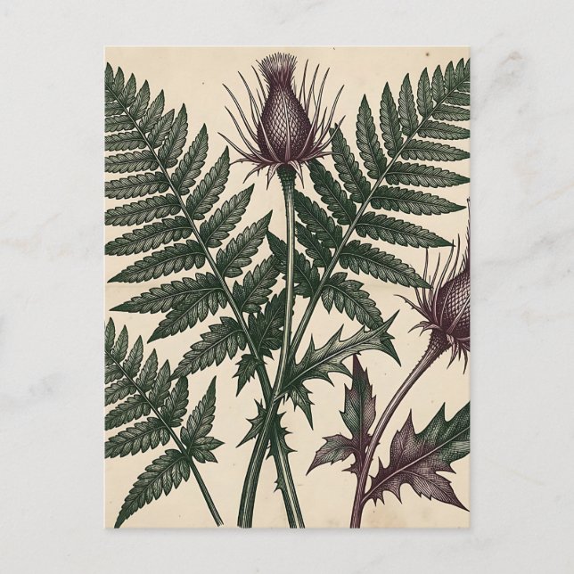 Vintage Thistle and Fern Botanical Postcard (Front)