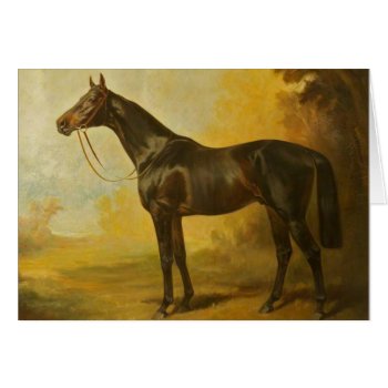 Vintage Thoroughbred Horse by tyraobryant at Zazzle