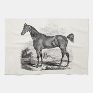 Vintage Thoroughbred Horse Equestrian Personalized Kitchen Towel