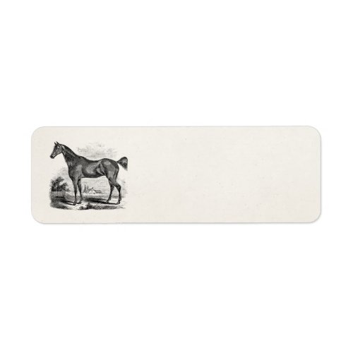 Vintage Thoroughbred Horse Equestrian Personalized Label
