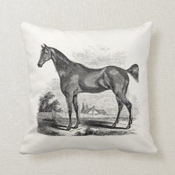 Vintage Thoroughbred Horse Equestrian Personalized Throw Pillow by SilverSpiral at Zazzle