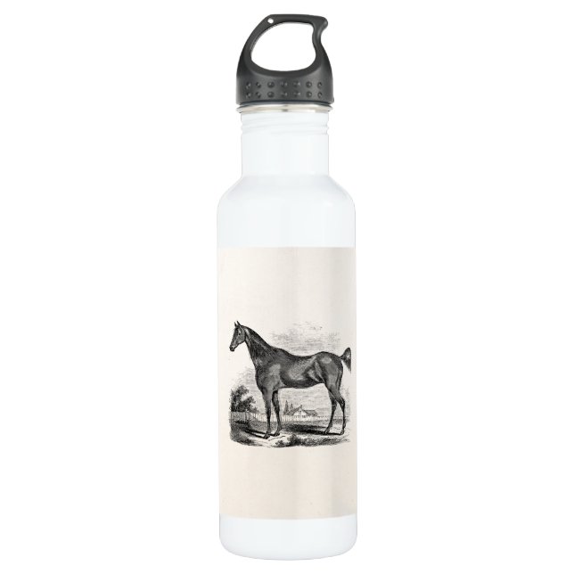 Vintage Thoroughbred Horse Equestrian Personalized Water Bottle (Front)