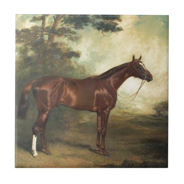 Vintage Thoroughbred Horse Tile (Front)