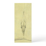 Vintage Threadfin Trevally, African Pompano Fish Cards