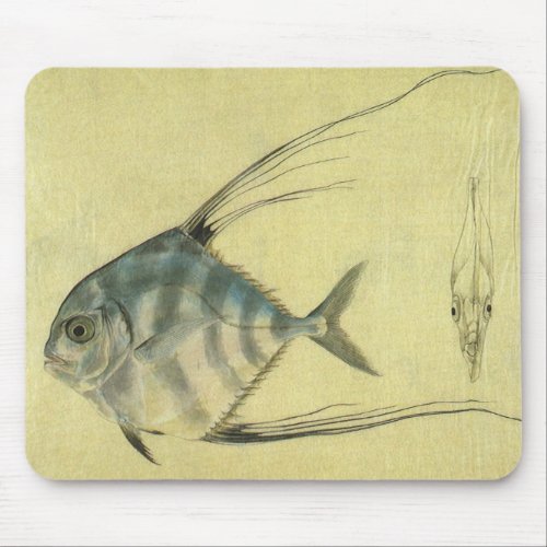 Vintage Threadfin Trevally African Pompano Fish Mouse Pad