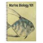 Vintage Threadfin Trevally, African Pompano Fish Notebook