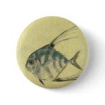 Vintage Threadfin Trevally, African Pompano Fish Pinback Button