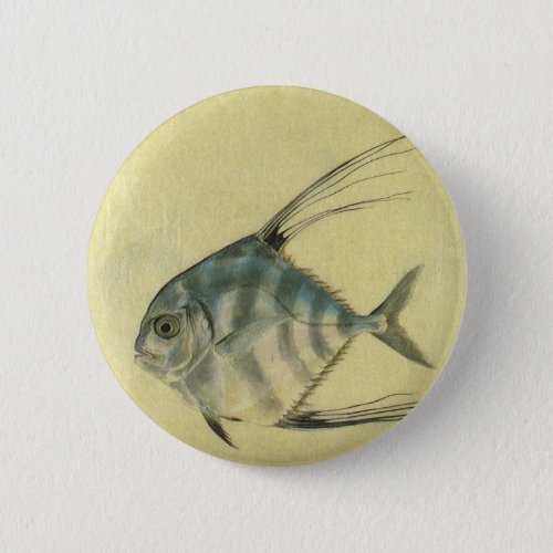 Vintage Threadfin Trevally African Pompano Fish Pinback Button
