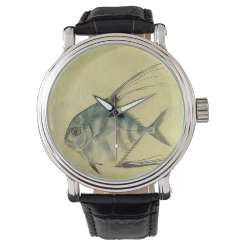 Vintage Threadfin Trevally African Pompano Fish Watch