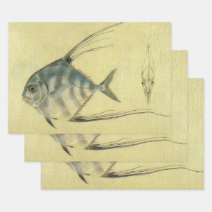 Vintage Threadfin Trevally, African Pompano Fish Wrapping Paper Sheets