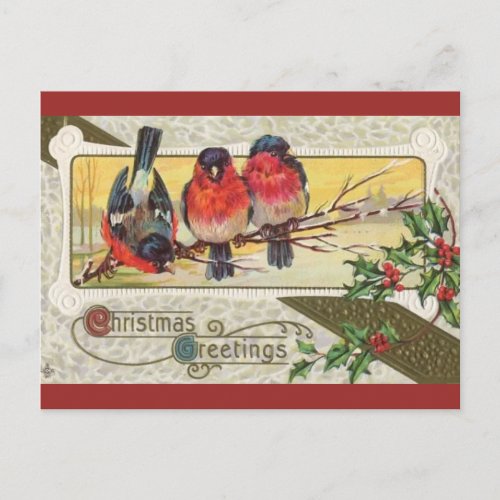 Vintage Three Birds and Christmas Holly Postcard