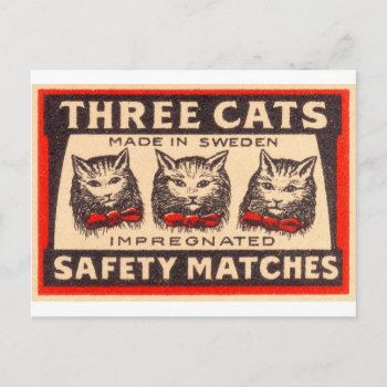 Vintage Three Cats Safety Matches Postcard by Kinder_Kleider at Zazzle