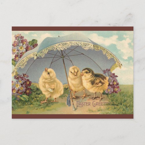 Vintage Three Chicks Under a Blue Umbrella Easter Postcard