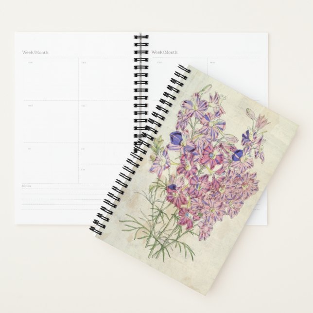Vintage Three-Coloured Branching Larkspur Planner (Display)