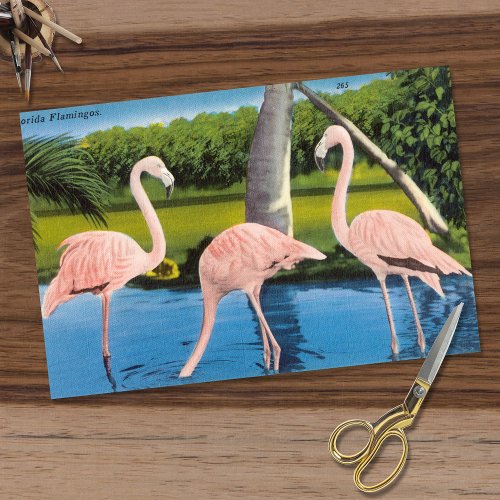 Vintage Three Florida Flamingos Tissue Paper