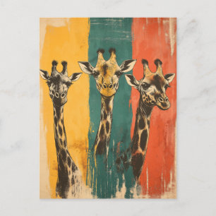 Vintage Three Giraffes Postcard