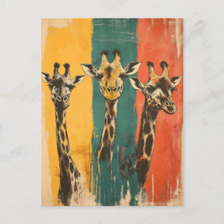 Vintage Three Giraffes Postcard
