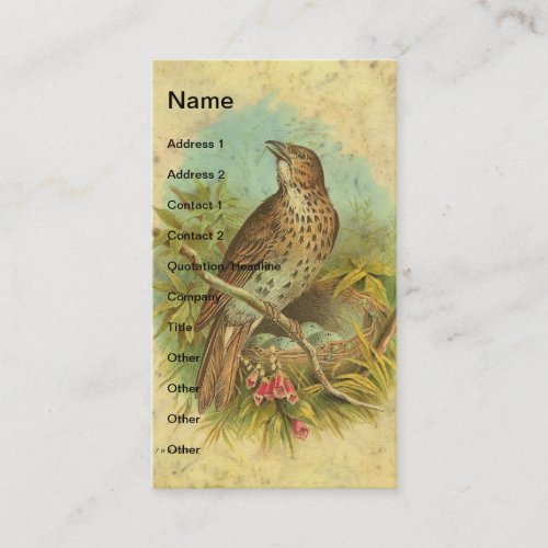 Vintage Thrush Business Card