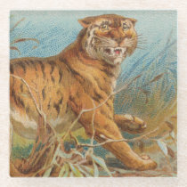 Lunch Box Tiger Large Vintage