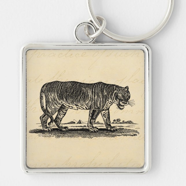 Vintage Tiger Illustration - 1800's Tigers African Keychain (Front)