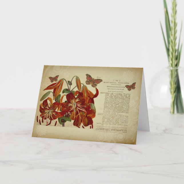 Vintage Tiger Lily Botanical Illustration Card (Front)