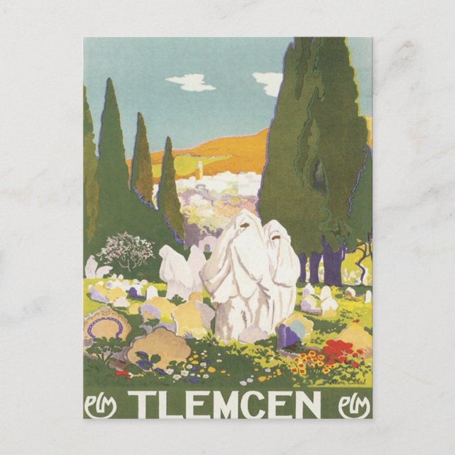 Vintage Tlemcen Algeria Postcard (Front)