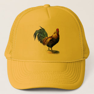 new era chicken wing hat