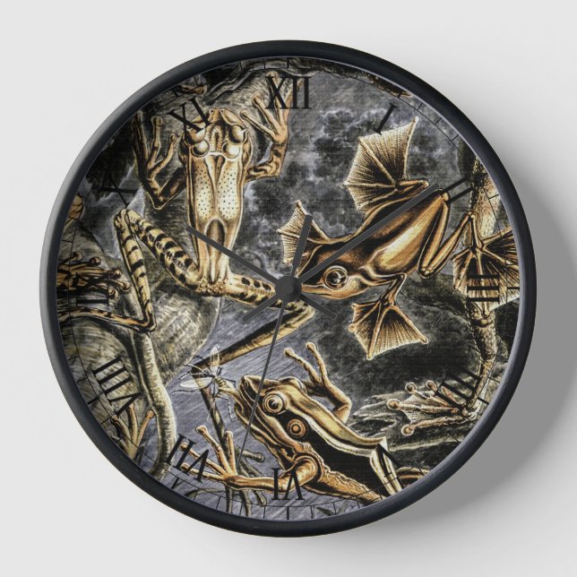 Vintage Toads and Frogs by Ernst Haeckel Clock (Front)