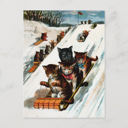 Vintage Toboggan Cats Postcard