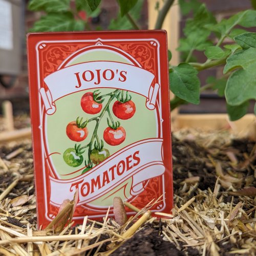 Vintage Tomato Garden Marker Plant Stake Cake Topper