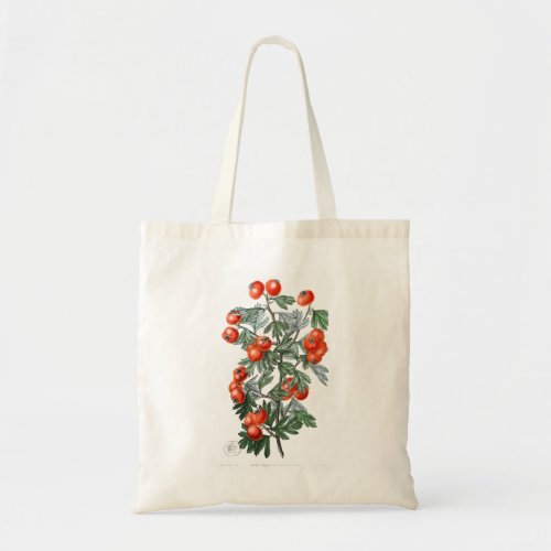 Vintage Tomato Vine Illustration Tote Bag