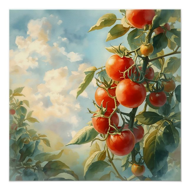 Vintage Tomatoes on a Vine Poster (Front)