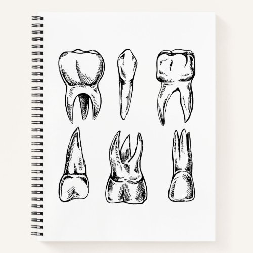 Vintage Tooth Anatomy Dental Spiral Notebook, Dent Notebook