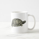 Vintage Tortoise Illustration Coffee Mug