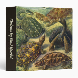 Vintage Tortoises and Sea Turtles by Ernst Haeckel 3 Ring Binder