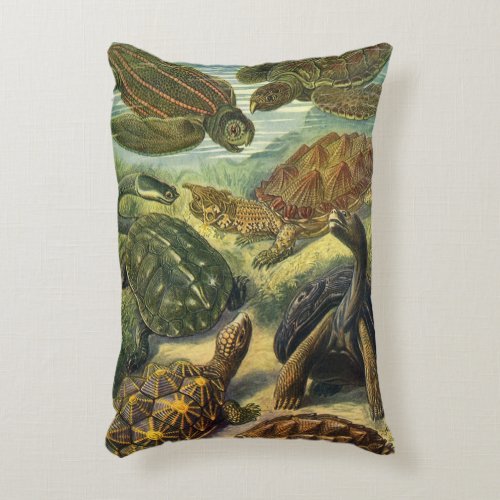 Vintage Tortoises and Sea Turtles by Ernst Haeckel Accent Pillow