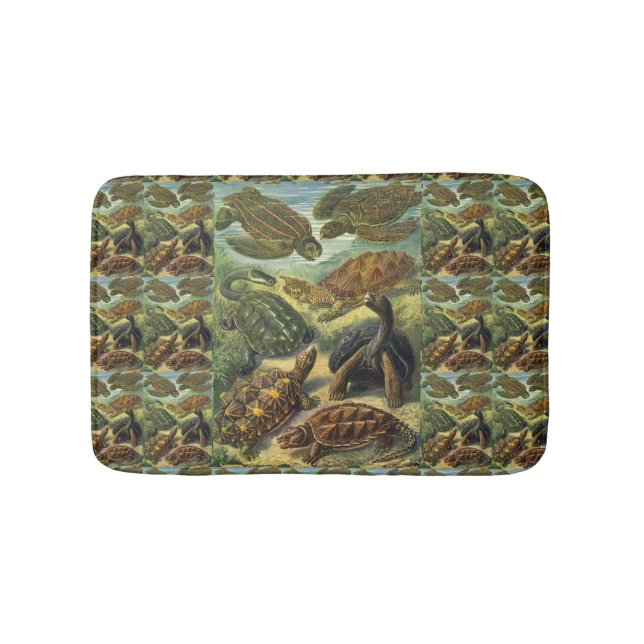Vintage Tortoises and Sea Turtles by Ernst Haeckel Bathroom Mat (Front)