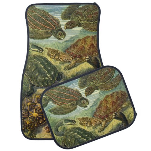 Vintage Tortoises and Sea Turtles by Ernst Haeckel Car Mat
