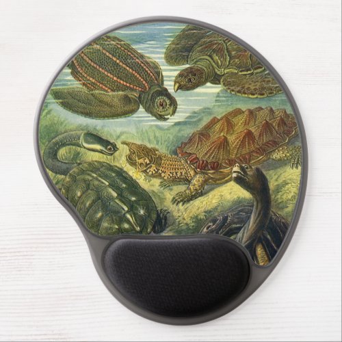 Vintage Tortoises and Sea Turtles by Ernst Haeckel Gel Mouse Pad