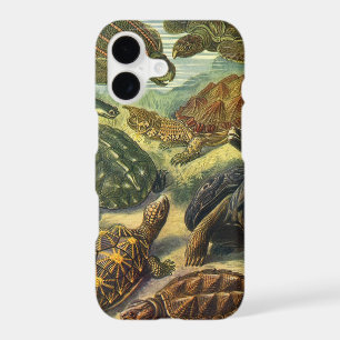 Vintage Tortoises and Sea Turtles by Ernst Haeckel iPhone 17 Case