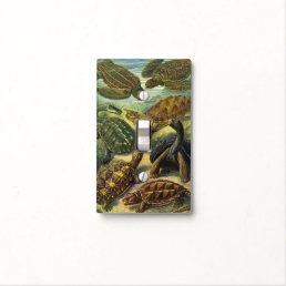 Vintage Tortoises and Sea Turtles by Ernst Haeckel Light Switch Cover
