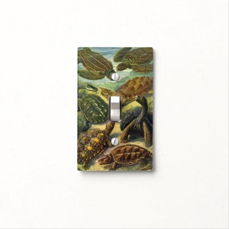 Vintage Tortoises And Sea Turtles By Ernst Haeckel Light Switch Cover
