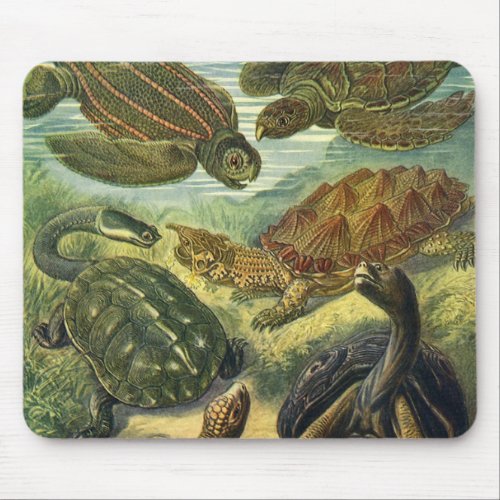 Vintage Tortoises and Sea Turtles by Ernst Haeckel Mouse Pad