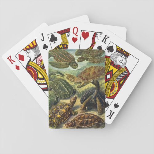 Vintage Tortoises and Sea Turtles by Ernst Haeckel Poker Cards
