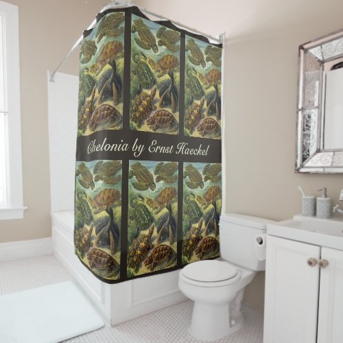 Vintage Tortoises and Sea Turtles by Ernst Haeckel Shower Curtain