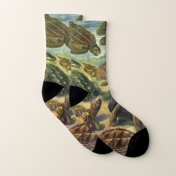 Vintage Tortoises And Sea Turtles By Ernst Haeckel Socks by Ernst_Haeckel_Art at Zazzle