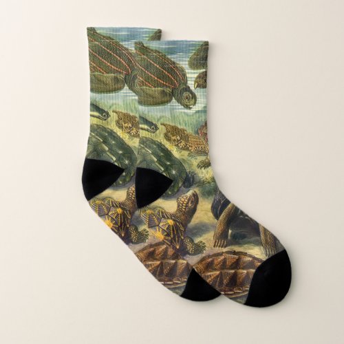 Vintage Tortoises and Sea Turtles by Ernst Haeckel Socks